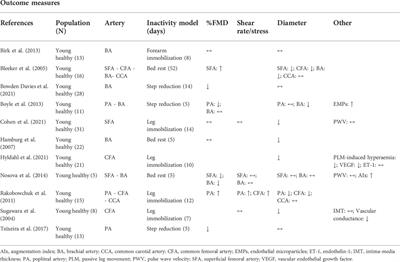 Detrimental effects of physical inactivity on peripheral and brain vasculature in humans: Insights into mechanisms, long-term health consequences and protective strategies